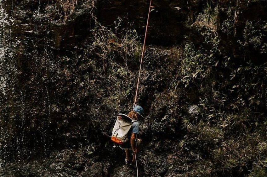 Waterfall Rappelling at Kulaniapia Falls: 120 Foot Drop, 15 Minutes from Hilo 4