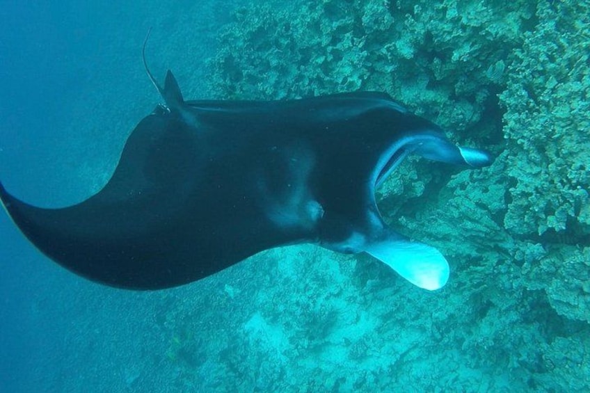 Close encounters of another kind! 5