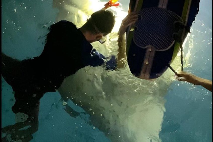 Manta Ray Night Snorkel at Kona, Big Island 3