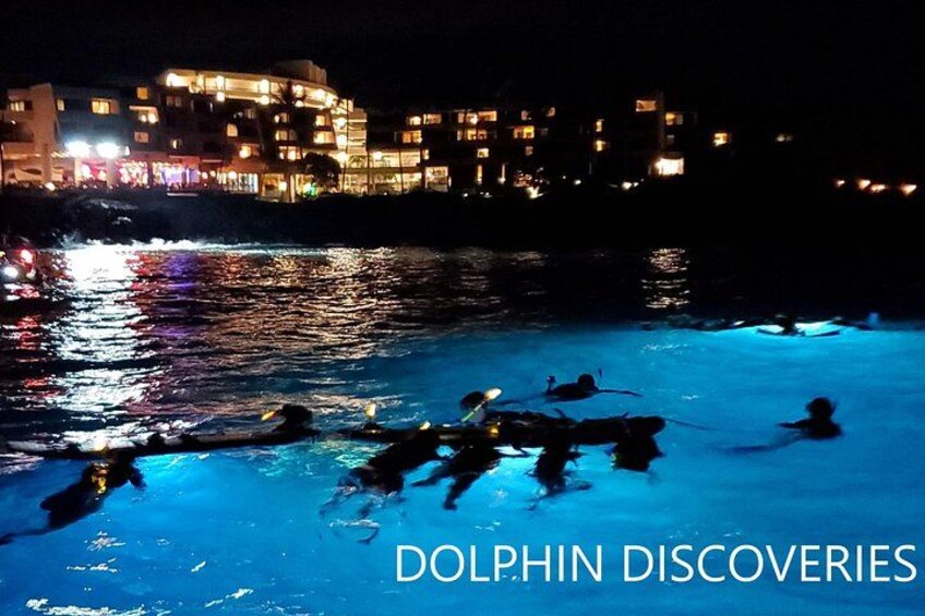 Manta Ray Night Snorkel Big Island, Hawaii 4
