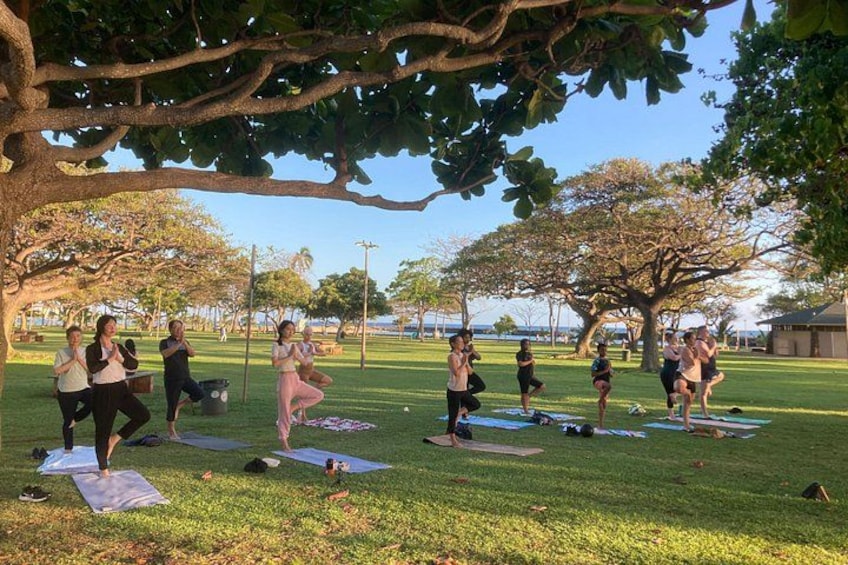 Un groupe de personnes pratiquant le yoga sur des tapis dans un parc verdoyant, avec des arbres et un ciel dégagé. 2