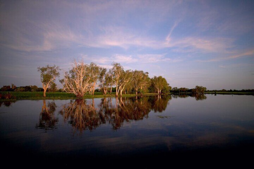 Yellow Water Cruise - Kakadu