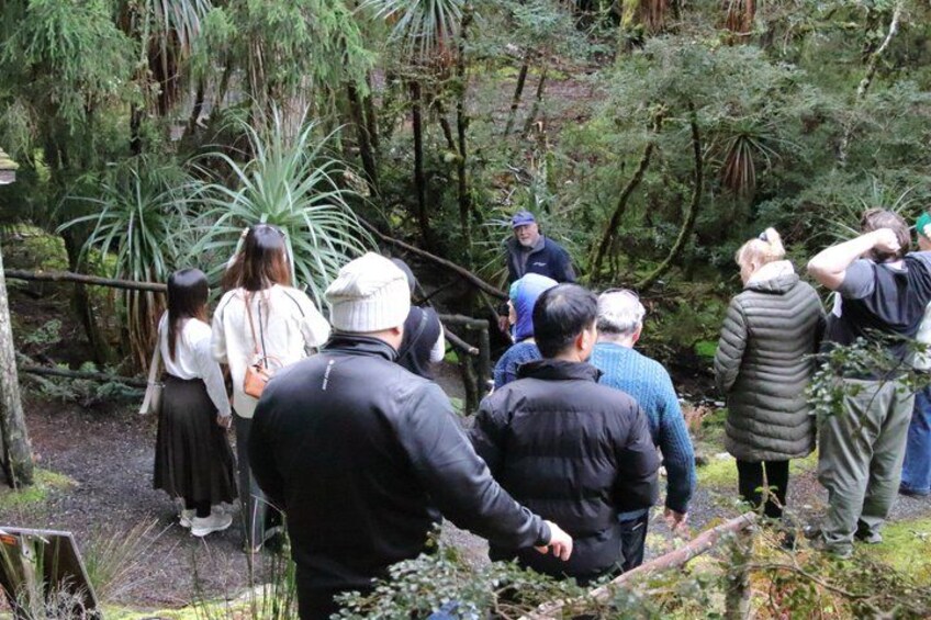 Cradle Mountain Day Tour from Launceston Including Lunch 5