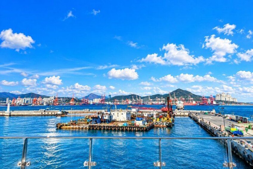 Small group Busan Highlights with Food Market Tour and Night View 2