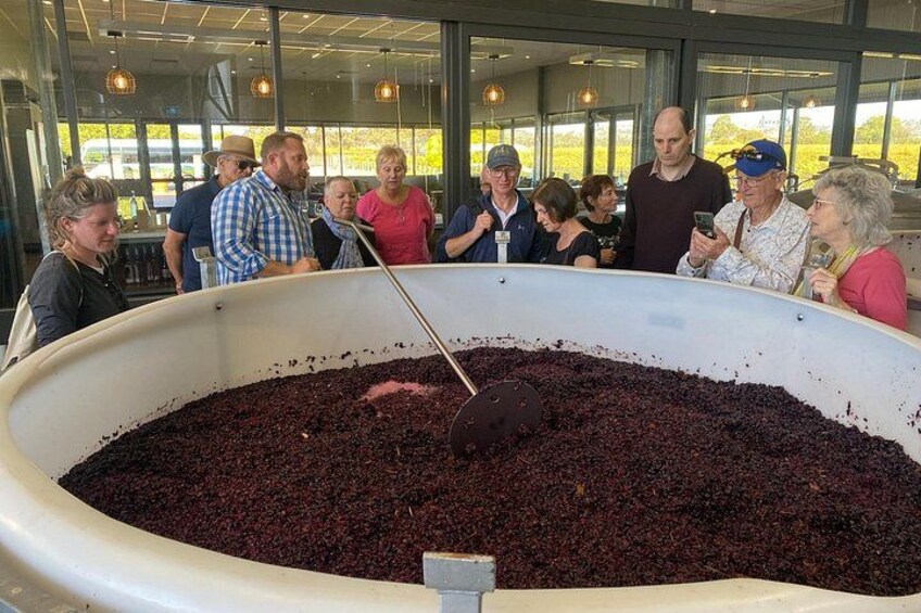 Rosenvale Wines 2