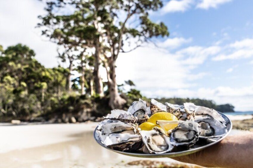 All Inclusive Bruny Island Day Tour Plus Guided Lighthouse Tour 4
