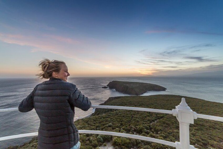 All Inclusive Bruny Island Day Tour Plus Guided Lighthouse Tour 1