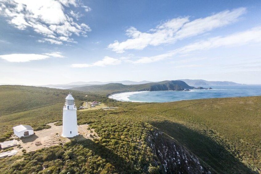 All Inclusive Bruny Island Day Tour Plus Guided Lighthouse Tour 3