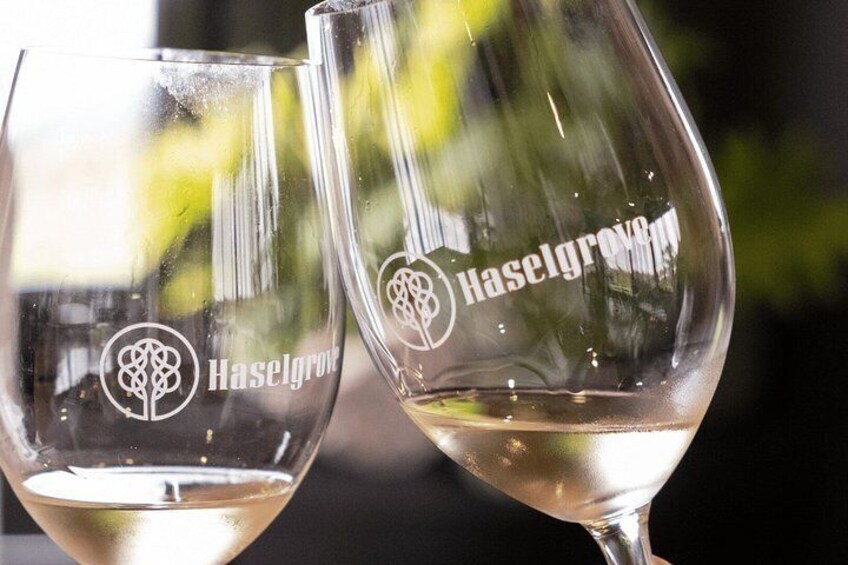 McLaren Vale Wine Tasting, Sights & Glenelg (half-day Afternoon) 2