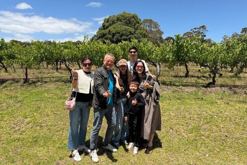 McLaren Vale Wine Tasting, Sights & Glenelg (half-day Afternoon) 3