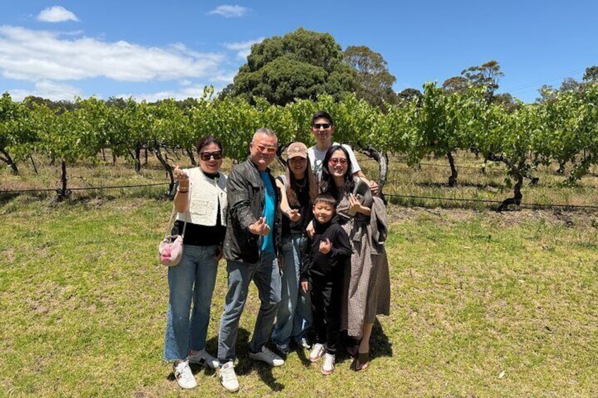 McLaren Vale Wine Tasting, Sights & Glenelg (half-day Afternoon) 3