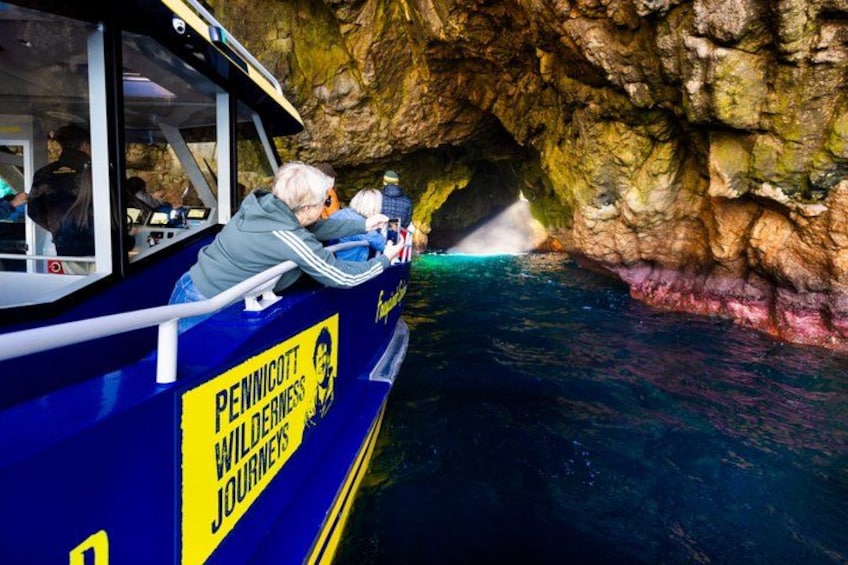 A boat with 'Pennicott Wilderness Journeys' written on it, passengers looking at a cave opening. 5