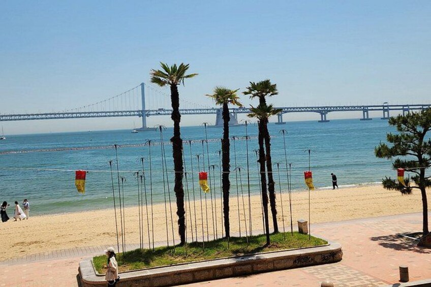 Busan Private Walking Tour with a Local 4