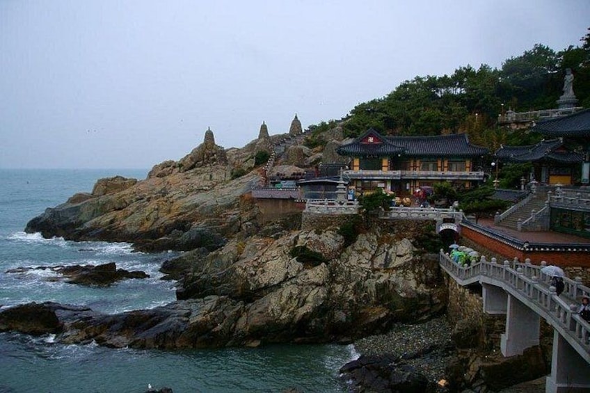 Hang out with locals in Busan 1