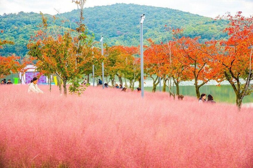 A park with trees, a lake, and a hill in the background. 4