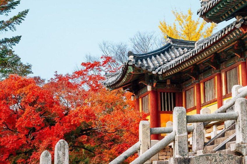 A traditional Japanese building with a tiled roof, surrounded by autumn foliage. 5