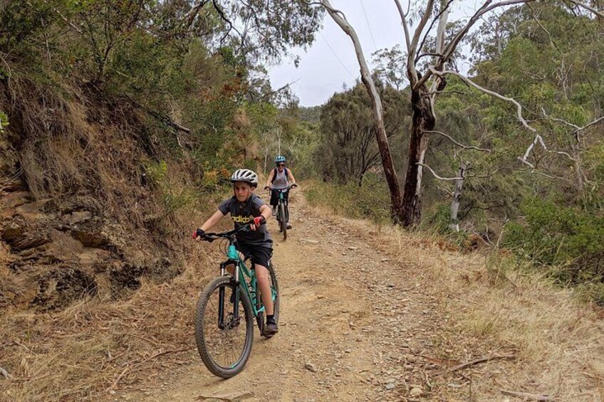 Mount Lofty & Adelaide Hills Guided MTB Tour 5