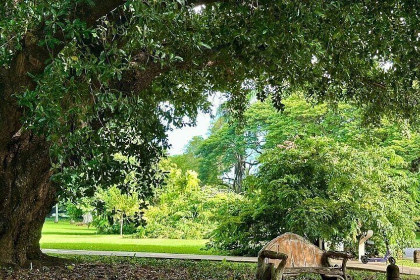 Darwin City Explorer Tour 5