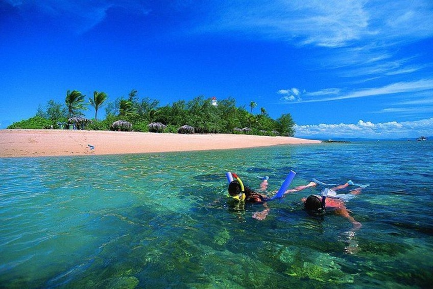 Two people snorkeling in clear blue water with a beach and palm trees in the background. 2