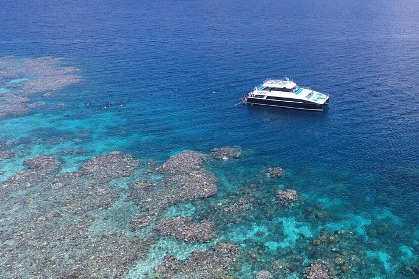 Calypso TEN at Agincourt Reef 3