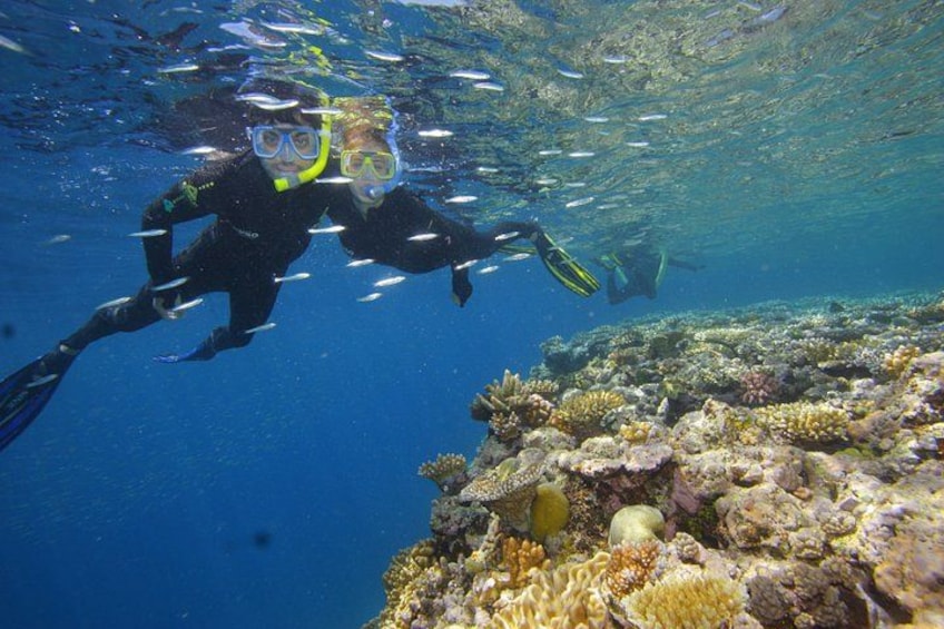 Two scuba divers swimming underwater near a coral reef. 2