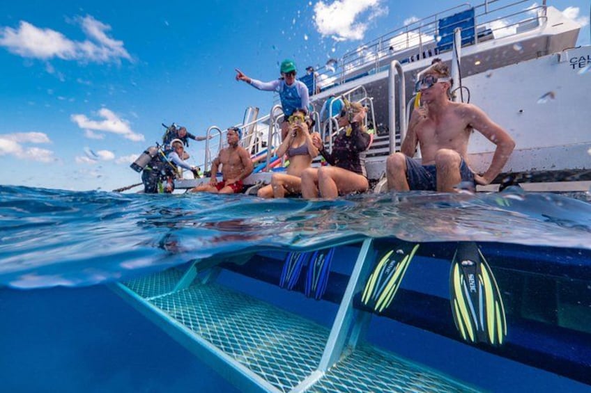 People on a boat, some wearing diving gear, and a ladder leading into the water. 3