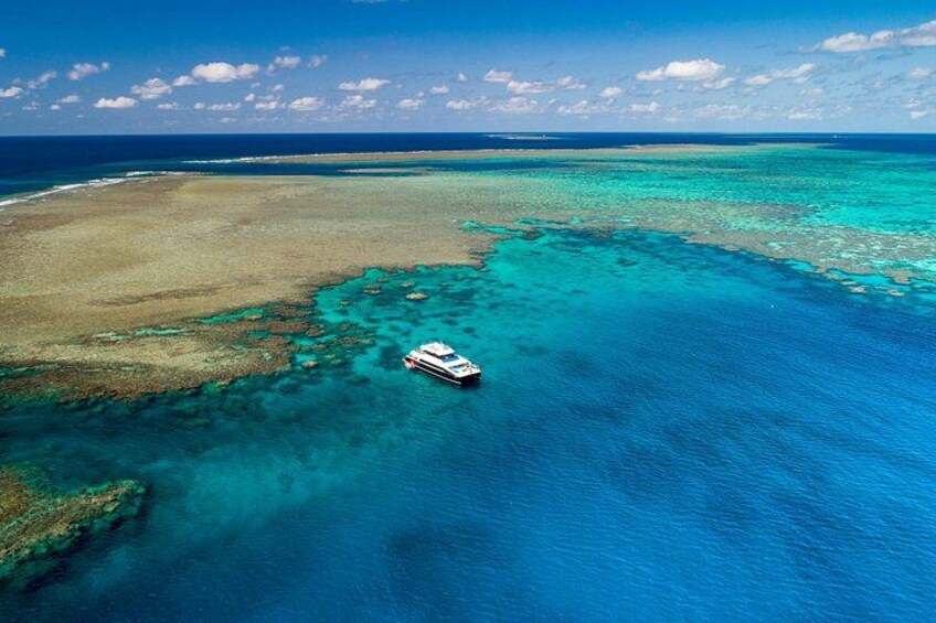Calypso Outer Great Barrier Reef Cruise from Port Douglas 1
