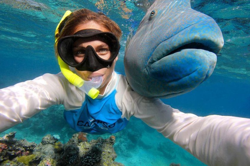 A person snorkeling underwater with a large fish. 3