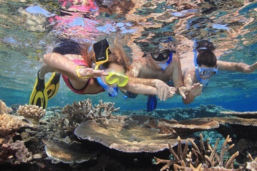 Dos personas haciendo snorkel bajo el agua, con formaciones de coral y vida marina. 2