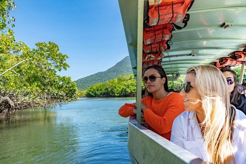 River cruise spotting crocodiles and wildlife in the mangroves 4