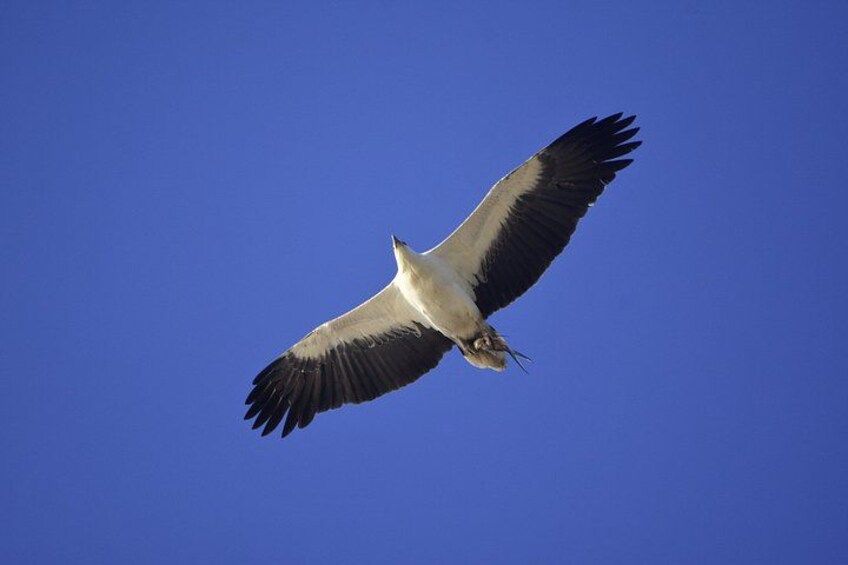 North Stradbroke Island Day Tour from Brisbane – Small Group 3