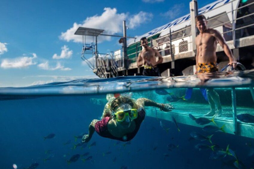 A person swimming underwater with a snorkel and mask, surrounded by fish. 2