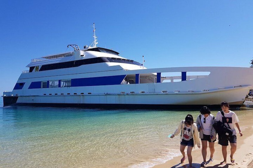 Moreton Island Day Trip (Kayak, Snorkel & Sandboard) frm Brisbane or Gold Coast 2