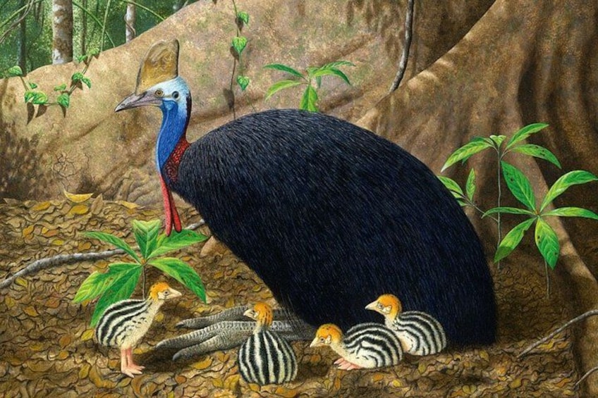 Un grand oiseau à la tête bleue et au bec rouge, entouré d’oiseaux plus petits et rayés, qui se trouvent au sol. 2