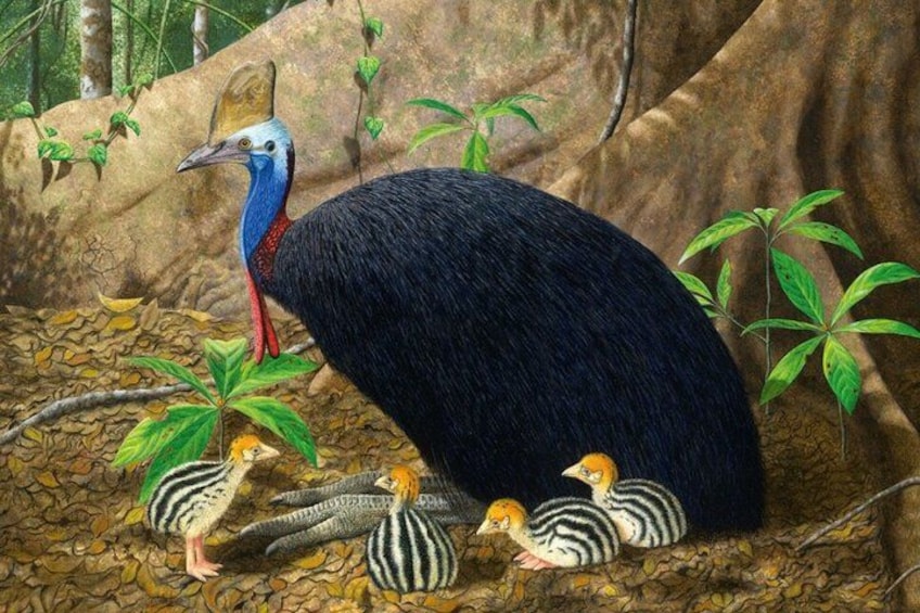 Un grand oiseau aux plumes bleues et rouges, entouré d’oiseaux plus petits, aux plumes rayées, qui se trouvent au sol. 3