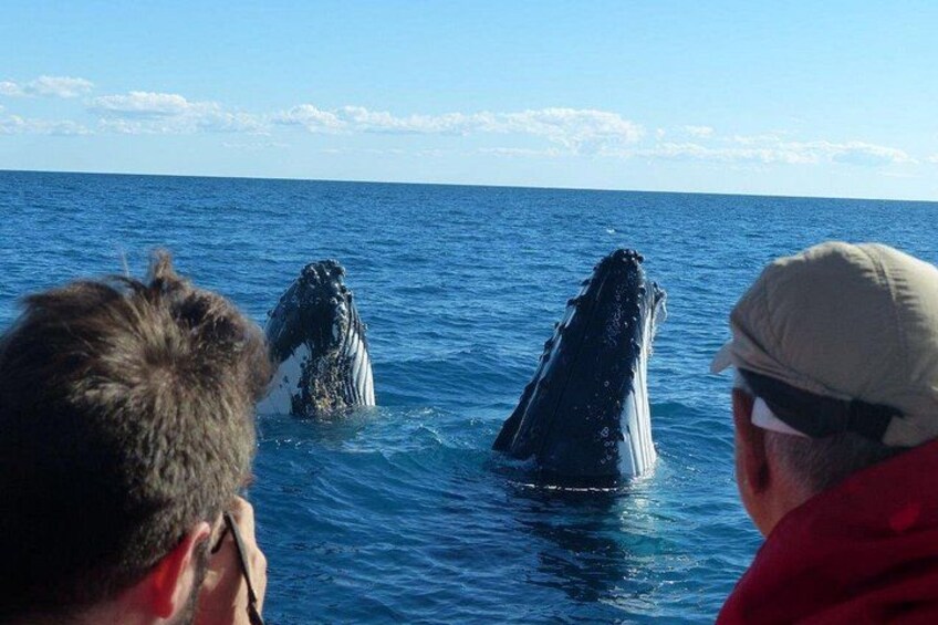 A whale breaching the ocean surface with people observing from a boat. 2