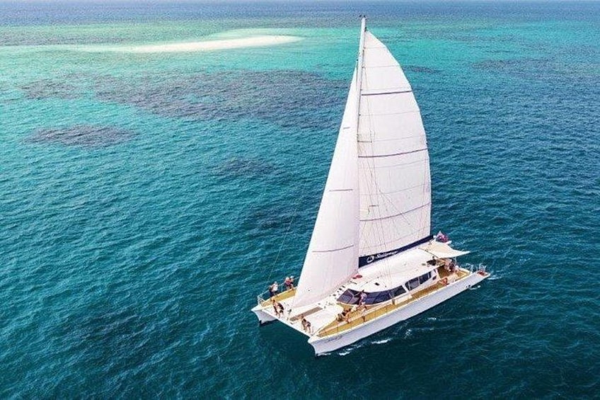 Outer Reef Mackay Cay Sail & Snorkel Adventure from Port Douglas 4