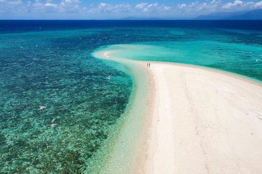 Outer Reef Mackay Cay Sail & Snorkel Adventure from Port Douglas 1