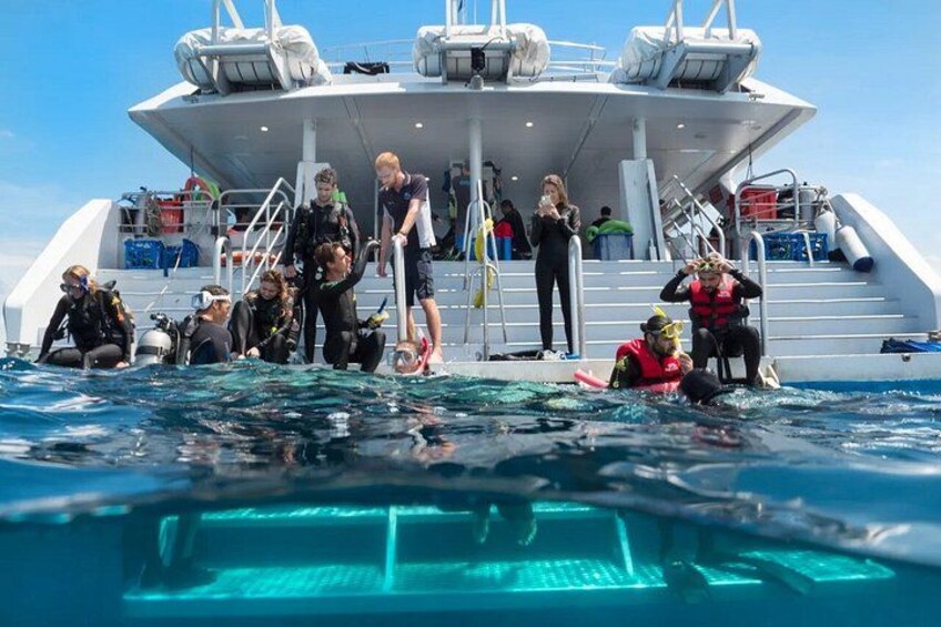 SeaQuest Day Trips to Outer Barrier Reef 2