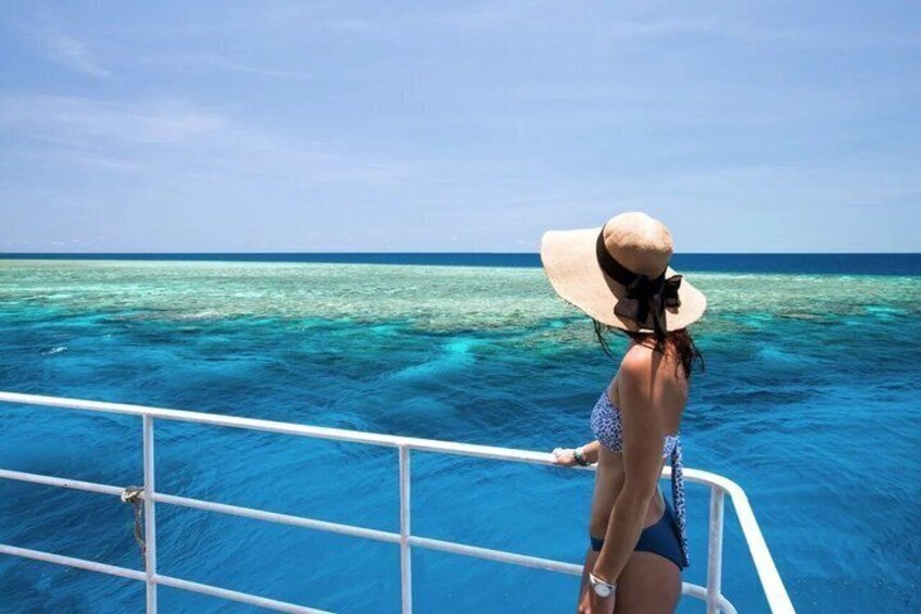 SeaQuest Day Trips to Outer Barrier Reef 3