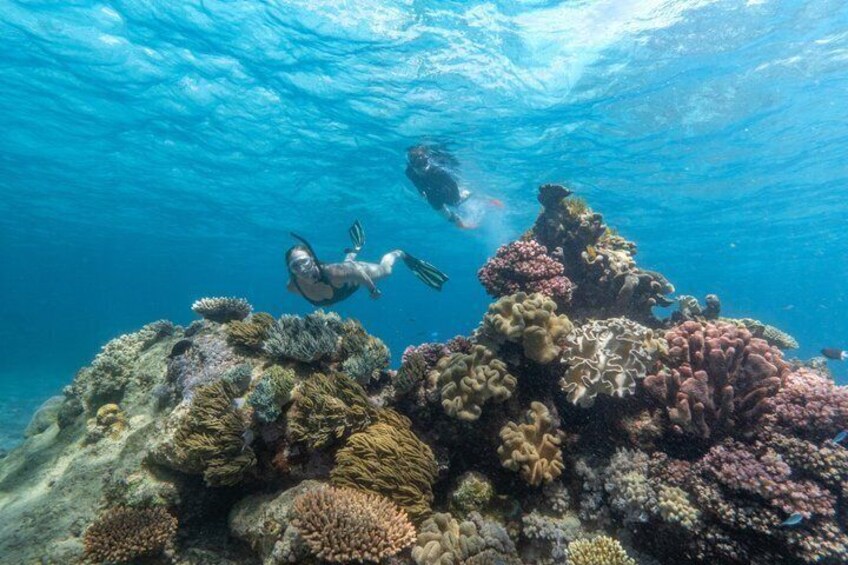 SeaQuest Day Trips to Outer Barrier Reef 5