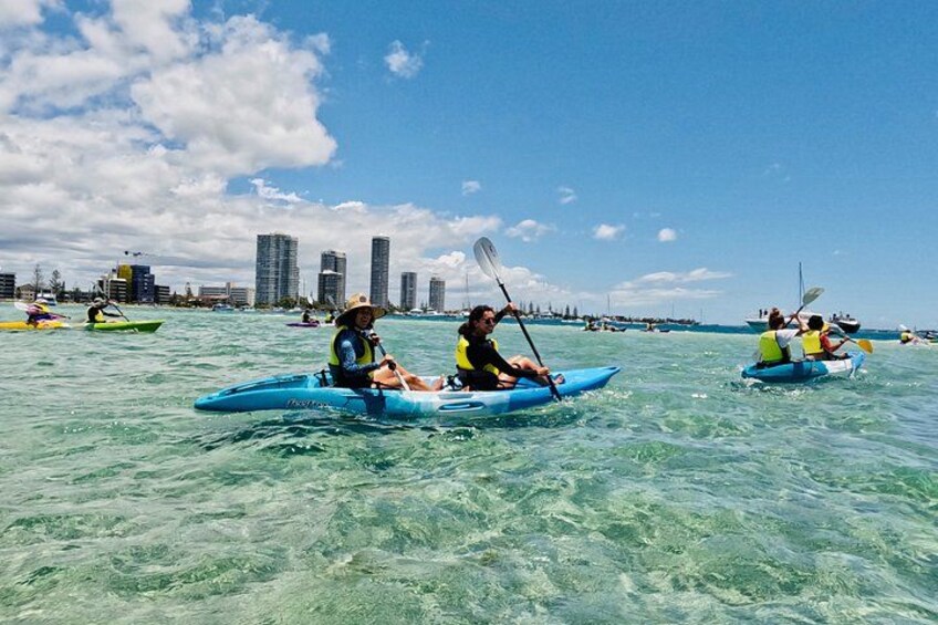 Gold Coast: Kayak & Snorkel Adventure with Marine Life 2