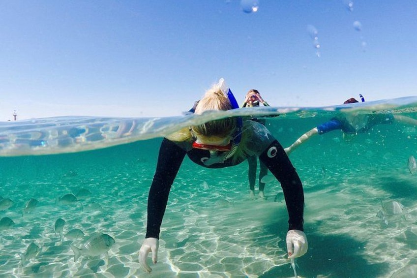 Gold Coast: Morning Kayak & Snorkel Adventure with Breakfast 2