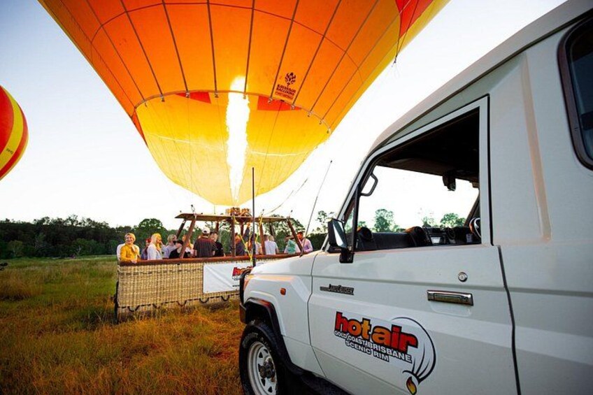 Gold Coast Hot Air Balloon + Winery Breakfast + Alpaca Experience 4