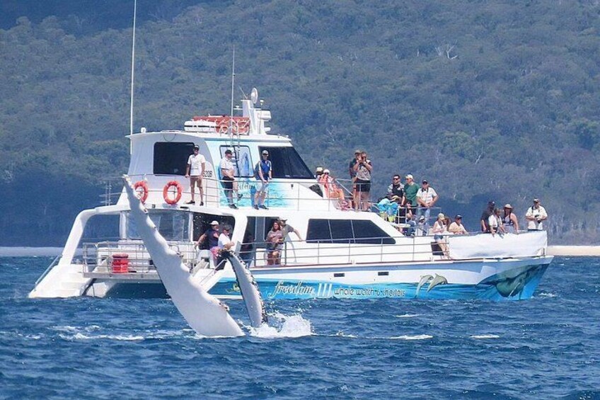 A boat with people on board, surrounded by water and a forested coastline. 2