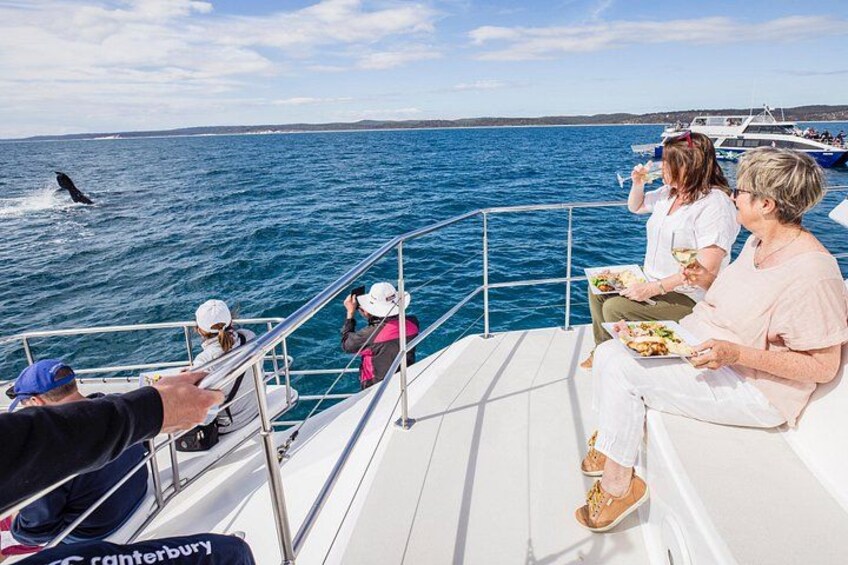 A boat with people on deck, a whale breaching the water, and a distant shoreline. 5
