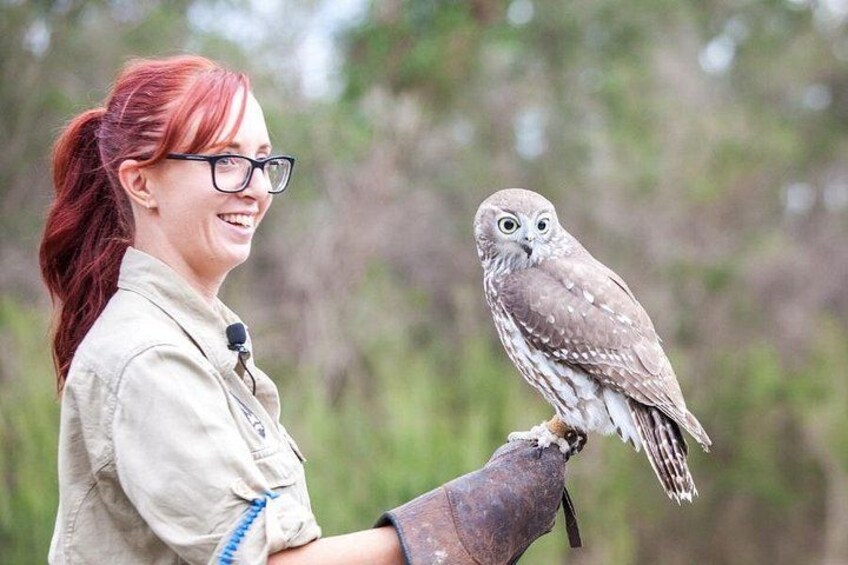 A person holding a bird of prey, likely an owl, in a natural outdoor setting. 3