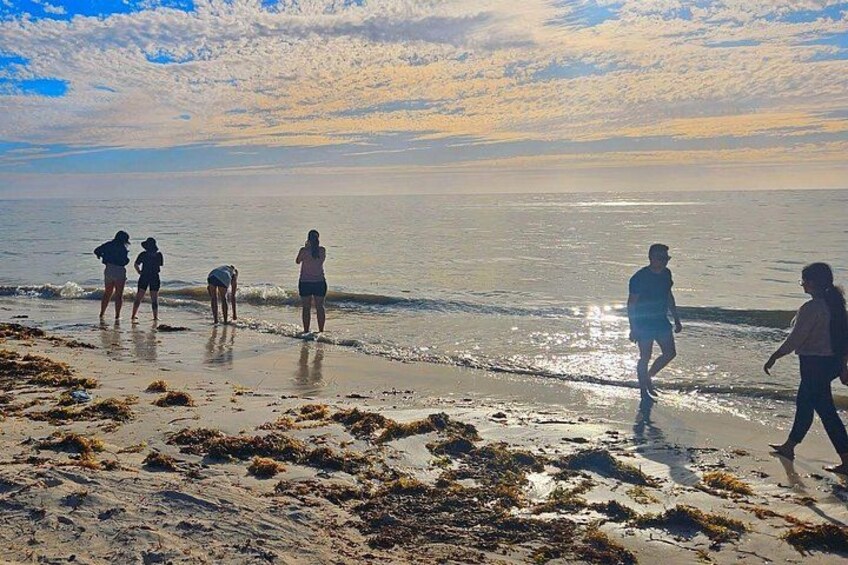 A beach with people walking and standing near the water. 4