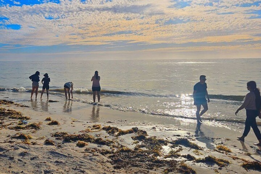 A beach with people walking and standing near the water, seaweed on the sand, and a partly cloudy sky. 3