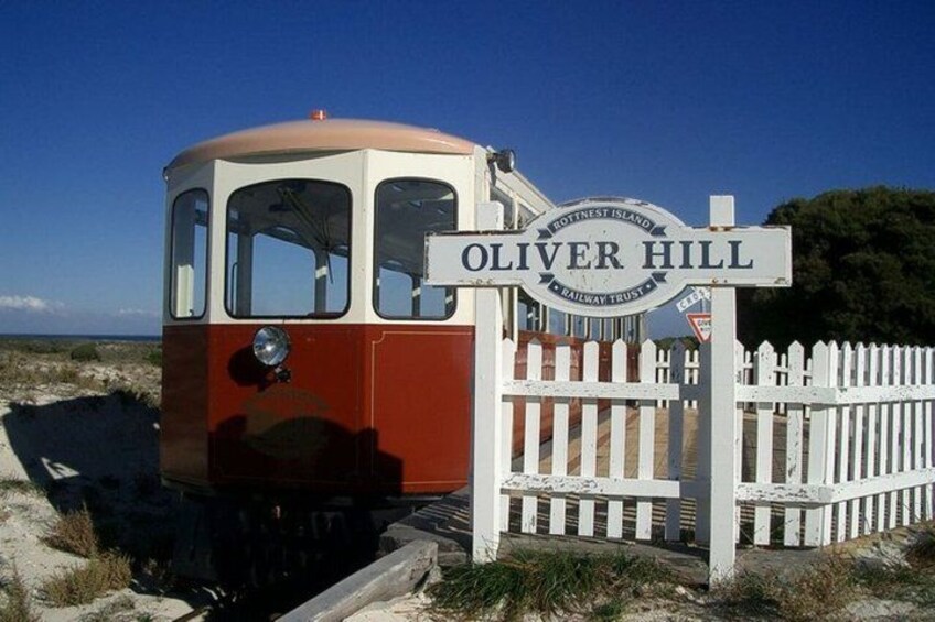 Rottnest Island Full-Day Trip With Island Tour from Hillarys 4
